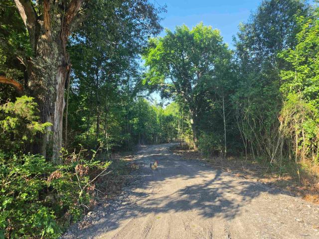 Land for sale in El Paso, White County