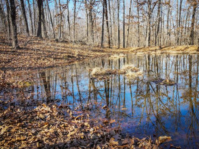 Land for sale in Missouri
