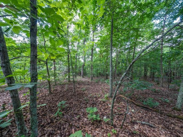 Land for sale in Ark