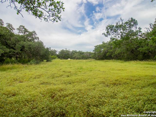 Land for sale in Spring Branch