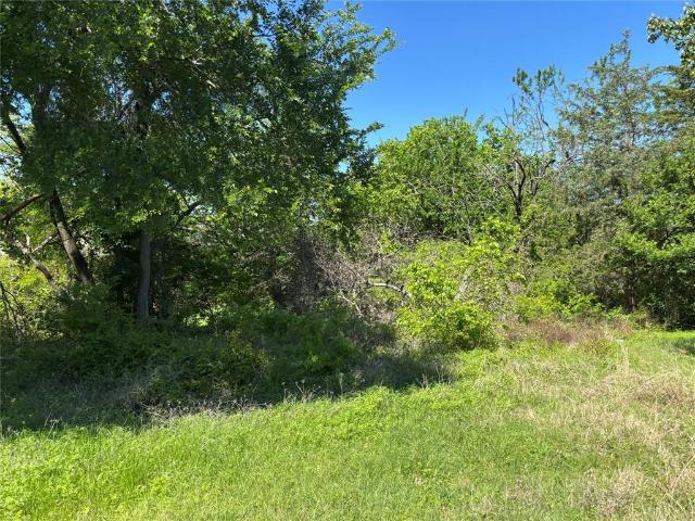 Land for sale in Blue Ridge, Texas