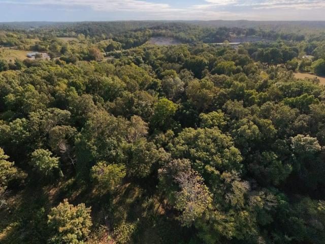 Land for sale in Mammoth Spring, Fulton County