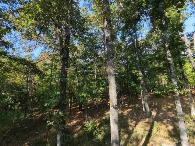 Land for sale in Mammoth Spring, Fulton County