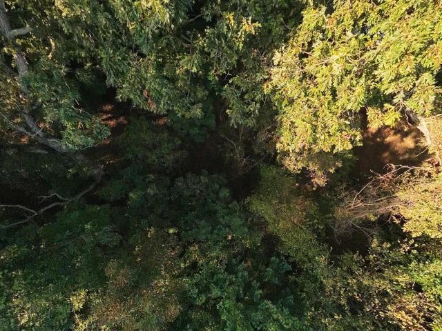 Land for sale in Mammoth Spring, Fulton County