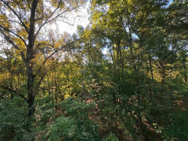 Land for sale in Mammoth Spring, Fulton County