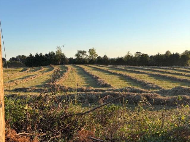 Land for sale in Dardanelle, Yell County