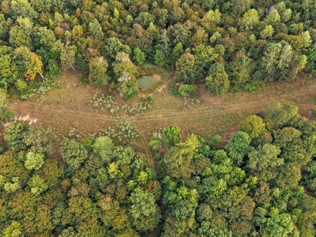 Land for sale in Cadiz, Kentucky