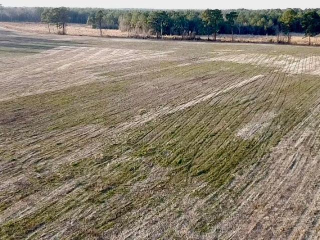 Land for sale in Rose Hill, North Carolina