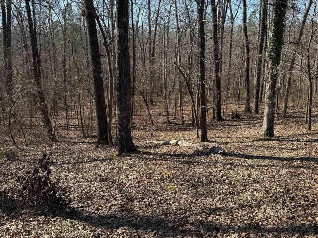 Land for sale in Ark