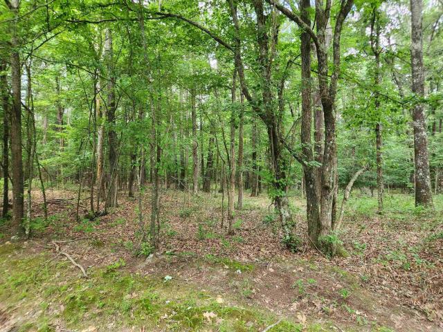 Land for sale in Ark