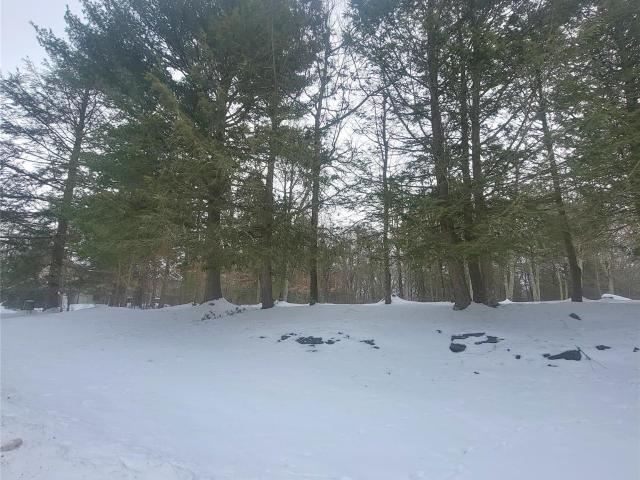 Land for sale in Bethel, New York