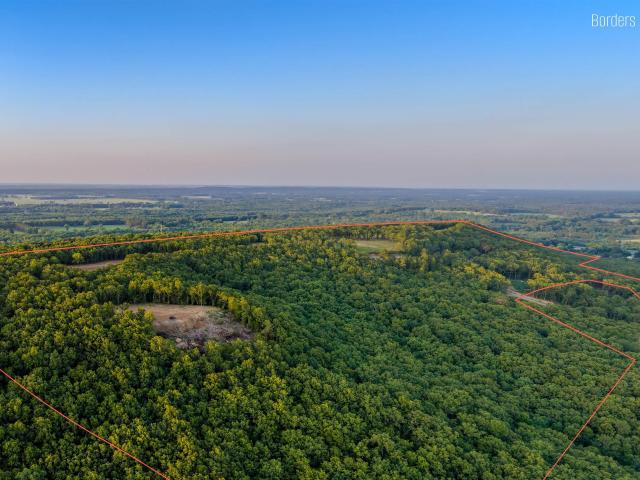 Land for sale in White County, Arkansas