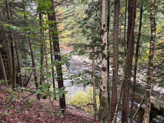 Land for sale in Nobleboro, Herkimer County