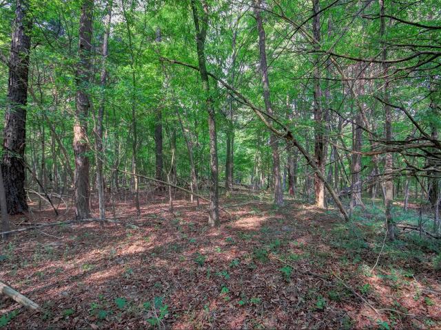 Land for sale in Saxapahaw, Graham