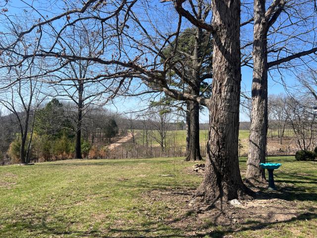 House for sale in Mountain Grove, Missouri
