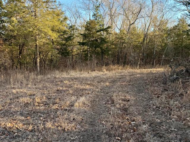 Land for sale in Humansville, Missouri