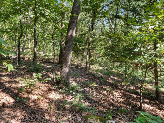 Land for sale in Humansville
