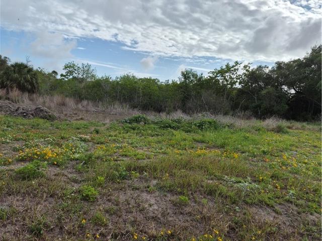 Land for sale in San Patricio, Texas