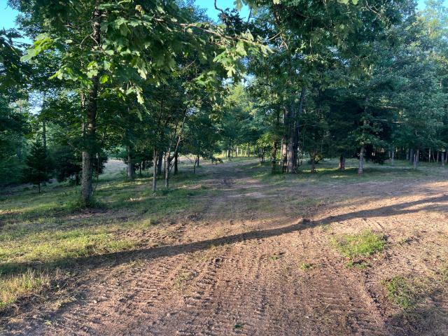 Land for sale in Ava, Missouri