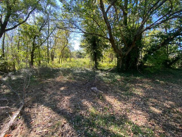Land for sale in Walnut Grove, Missouri