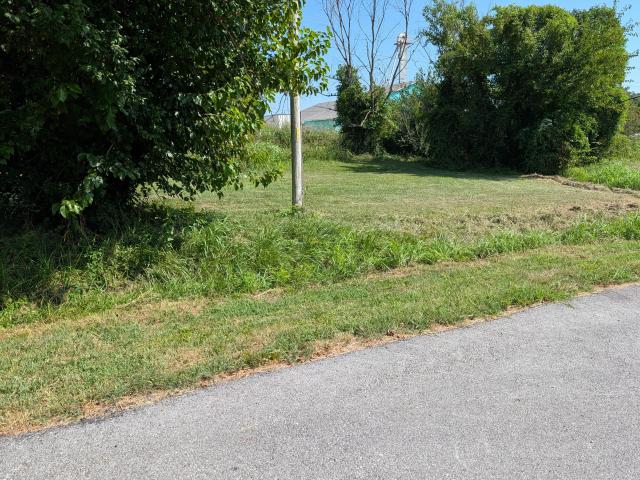 Land for sale in Buffalo, Missouri