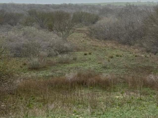 Land for sale in Kenedy, Texas
