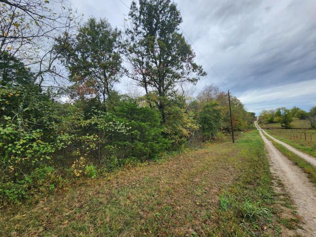 Land for sale in Everton, Dade County
