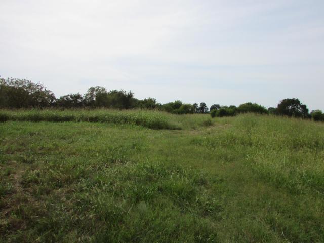 Land for sale in Republic, Missouri