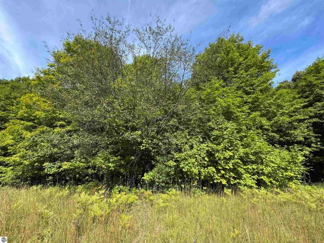 Land for sale in Michigan