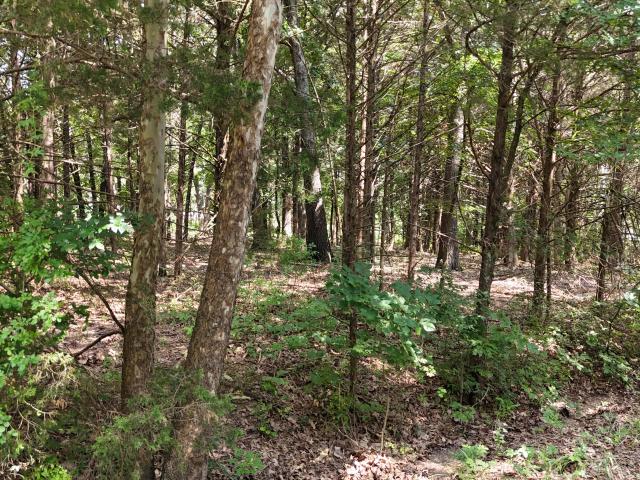 Land for sale in Stone, Missouri