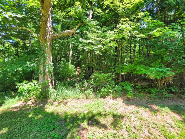 Land for sale in Flora, Illinois