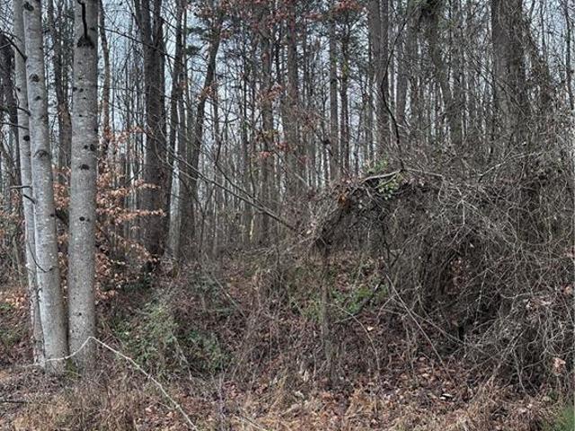 Land for sale in Yadkinville, North Carolina