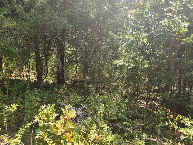 Land for sale in Licking, Missouri