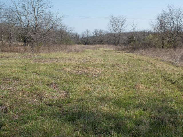 Land for sale in Richland, Missouri