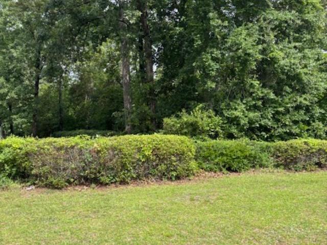 Land for sale in Barnwell, South Carolina