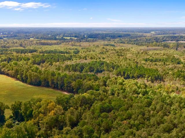 Land for sale in Fork, South Carolina
