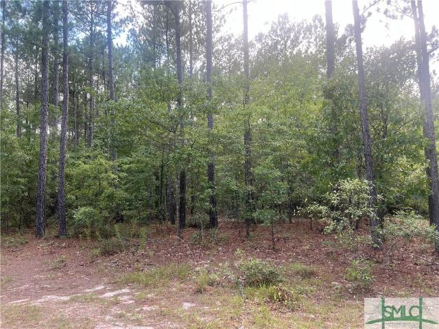 Land for sale in Twin City, Georgia