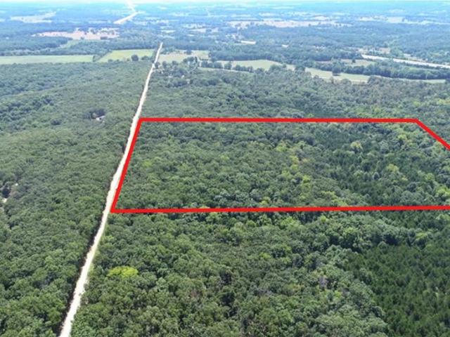 Land for sale in Collins, Missouri