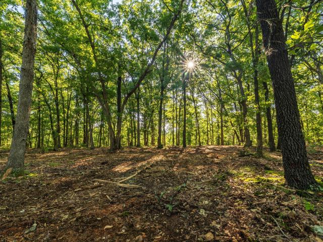 Land for sale in Osceola, Missouri
