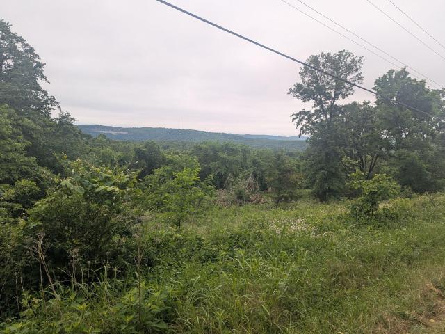 Land for sale in Stone, Missouri