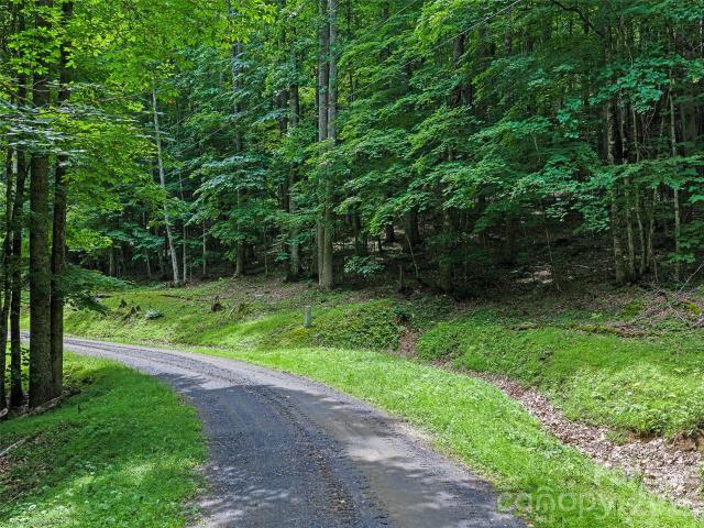 Land for sale in Yancey, North Carolina