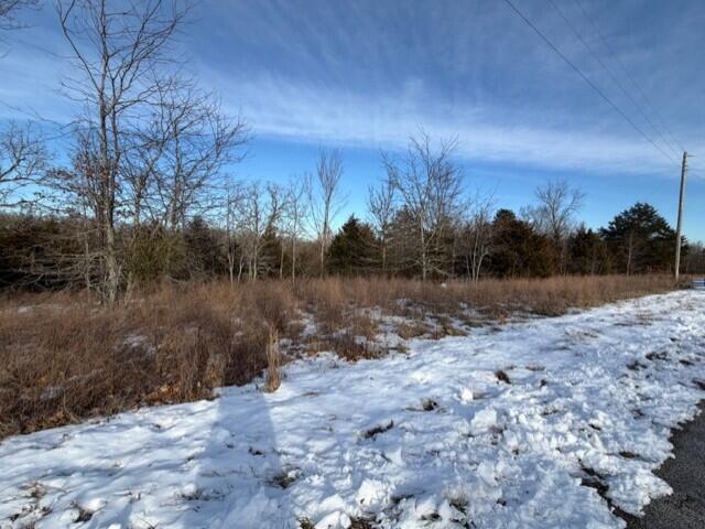 Land for sale in Forsyth, Missouri