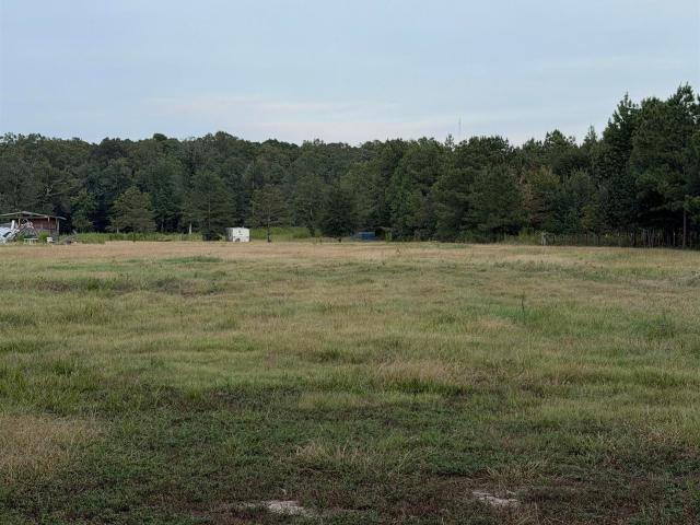 Land for sale in Watson Chapel, Pine Bluff