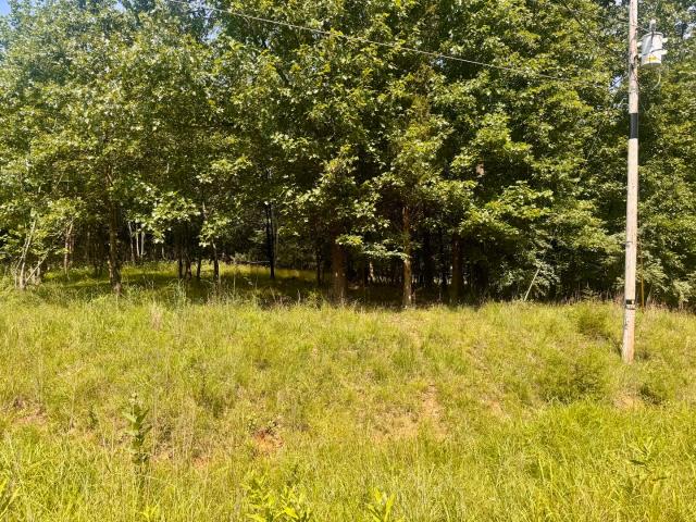 Land for sale in Goreville, Illinois