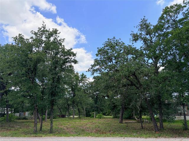 Land for sale in Smithville, Texas