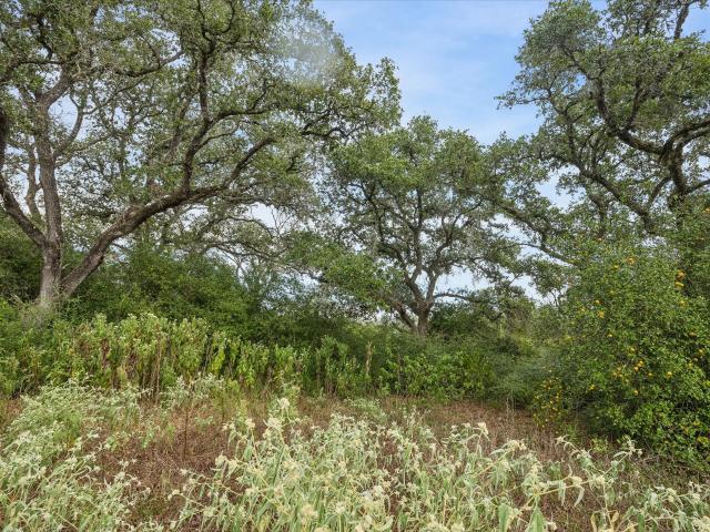 Land for sale in Columbus, Colorado County