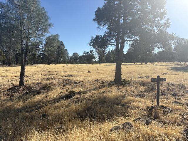 Land for sale in Shasta, California