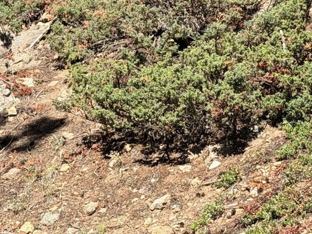 Land for sale in Clear Creek, Colorado