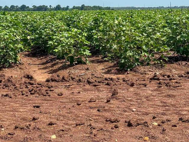 Land for sale in Bryan, Texas