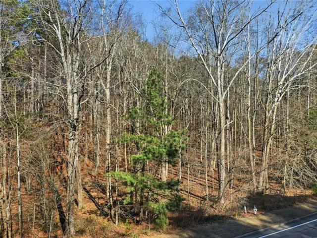 Land for sale in Holly Springs, Georgia